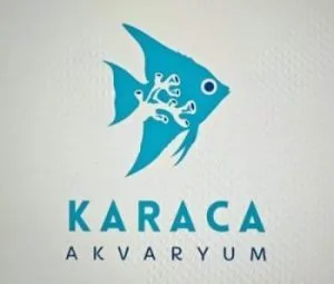 3.7 L Tüp Bitkili Akvaryumlar İçin CO2 Sistemi | Karaca Akvaryum bitkili akvaryum