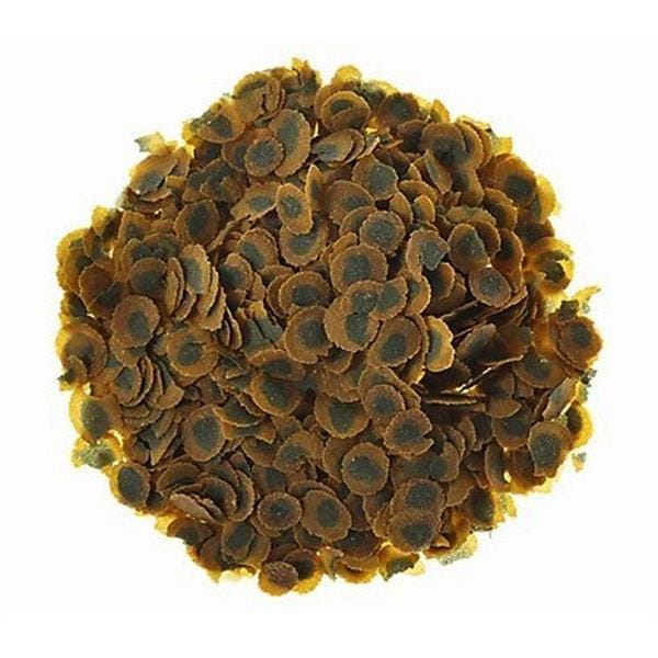 Tetra pro colur 250gr-kovadan bölme | Karaca Akvaryum Tetra pro colur 250gr-kovadan bölme - Görsel 2